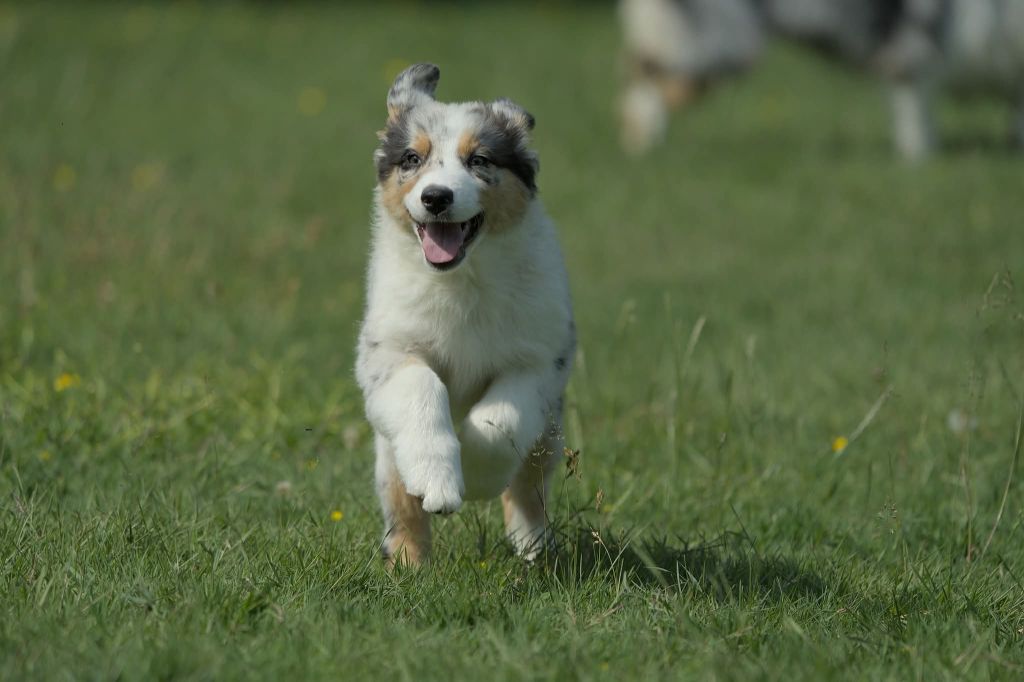Arwen, une pure merveille 